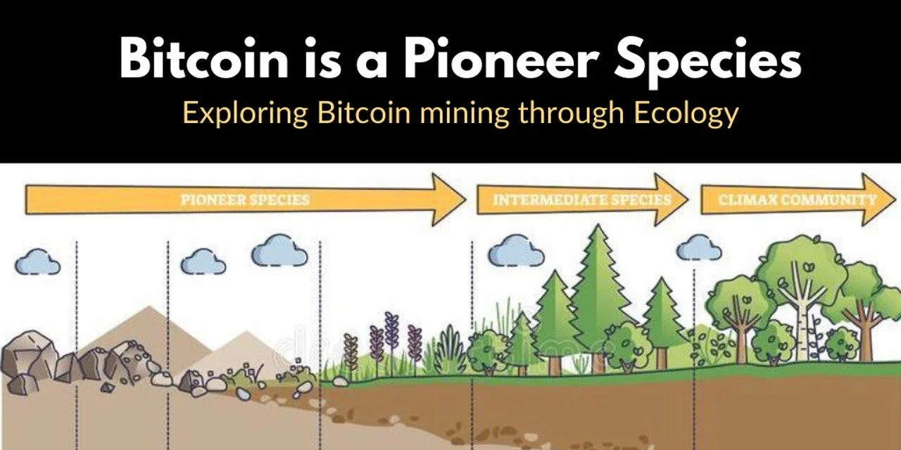 Bitcoin is a Pioneer Species illustration comparing Bitcoin mining to stages of ecological succession.